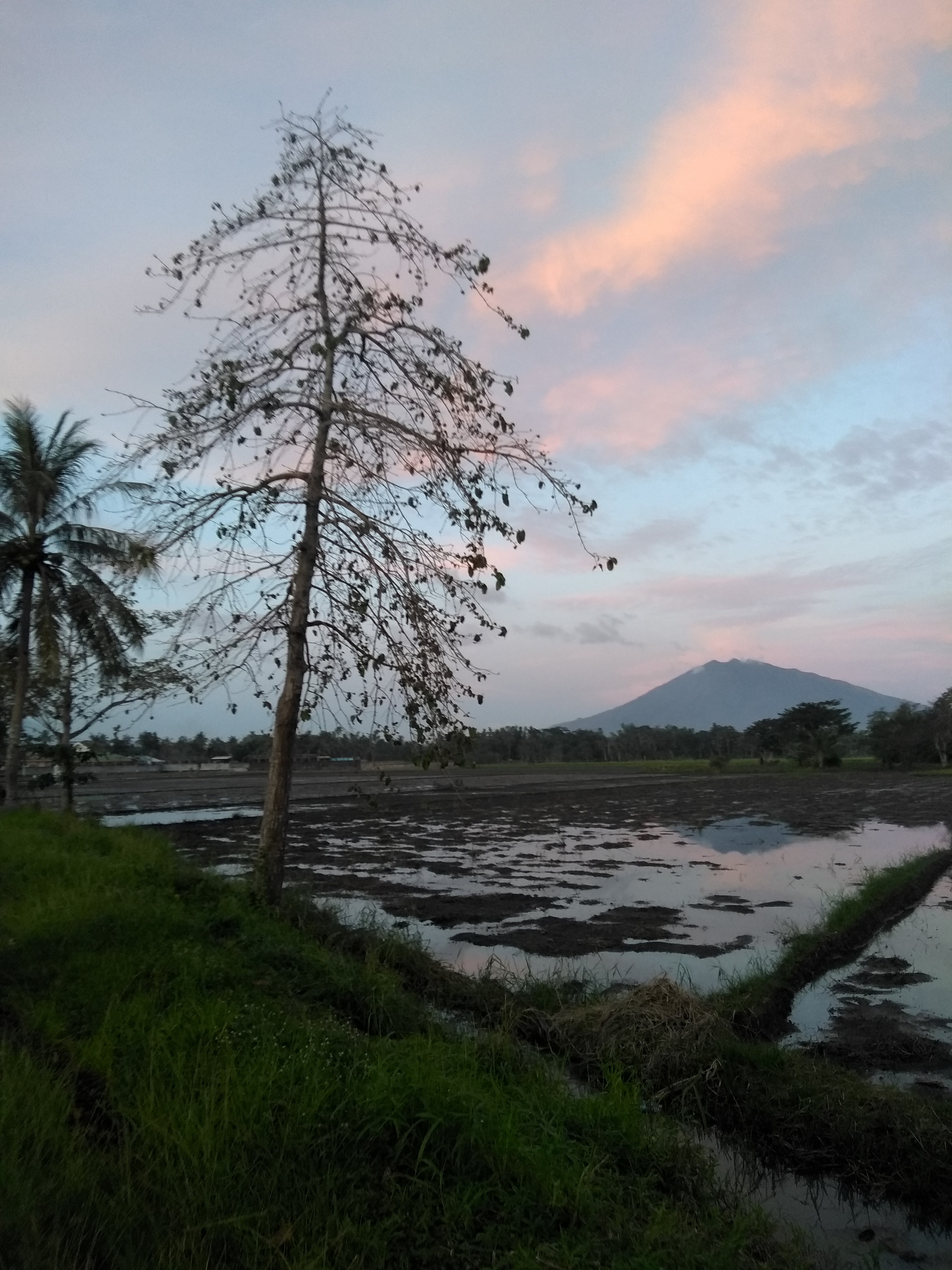 Mt. Isarog